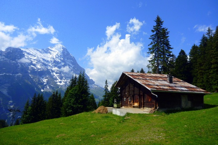 Švýcarsko - Jungrfrau Region - Grindelwald / foto: dovolenkářka