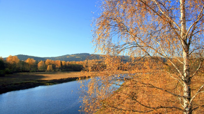 Cestou z Nové Pece / foto: dovolenkářka