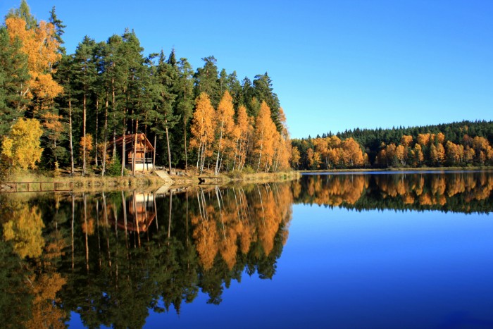 Šumava- Křišťanovický rybník / foto: dovolenkářka