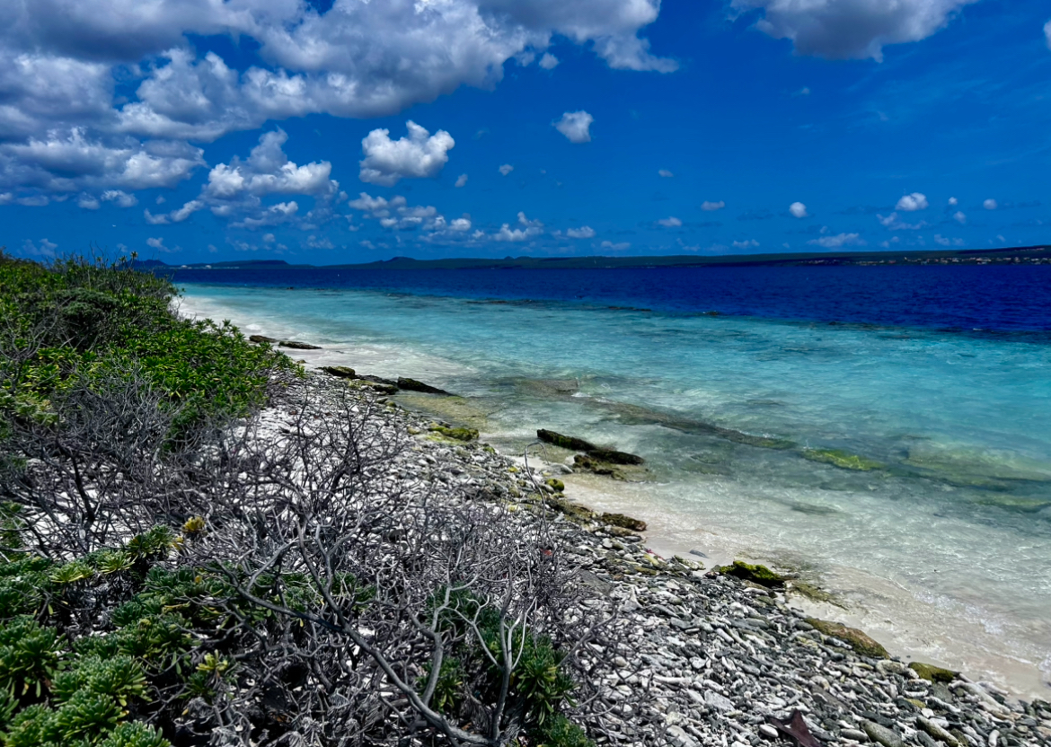 Klein Bonaire - Snorkeling 